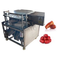 Elektrische Olijvenpittermachine Met Hoge Productiviteit/Pitloze Jujube-Maker/Dadelpalmzaad-Verwijderingsapparatuur