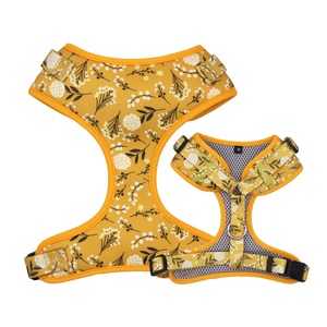 OEM ODM Adjustable No Pull Pet Dog Leash Collar and <strong>Harness</strong> - Product Image 3