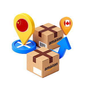 中国广州海运代理 LCL+Express FBA 运输 门到门物流 公司 货运代理 DDU/DDP 快递 - Product Image 6