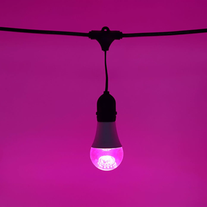 Luz LED <span class=keywords><strong>de</strong></span> crecimiento para plantas <span class=keywords><strong>de</strong></span> 14W, espectro completo, 3000K, ángulo <span class=keywords><strong>de</strong></span> haz <span class=keywords><strong>de</strong></span> 120°, para invernadero <span class=keywords><strong>de</strong></span> <span class=keywords><strong>Pitahaya</strong></span>, Fruta del Dragón y cultivo <span class=keywords><strong>de</strong></span> vegetales fuera <span class=keywords><strong>de</strong></span> temporada - Product Image 5