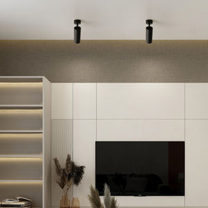 Spots de haute qualité <span class=keywords><strong>LED</strong></span> Downlight réglable salle d'exposition éclairage <span class=keywords><strong>noir</strong></span> blanc aluminium 7W 10W projecteur - Product Image 5