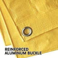 Bâche en PE bleue 100g 12x16 personnalisée, imperméable, pour usage léger