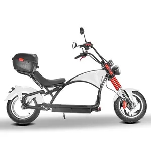 2024 european warehouse m1p m3p electric chopper motorcycle with 5A fast charger