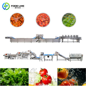 Línea de Freír y Desaceitar Verduras de Raíz, Línea de Congelación y Glaseado de Verduras - Product Image 5