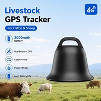 Traceur avancé pour bovins avec surveillance du comportement de pâturage et données GPS, mode de positionnement GPS+BDS+WIFI+LBS