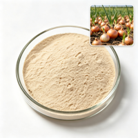 Poudre d'extrait de bulbe d'oignon 10:1 20:1 30:1, matière première botanique de qualité alimentaire en vrac pour la formulation d'assaisonnements alimentaires et de boissons