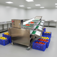 Automatische Tomaat Citroen Fruit Groente Sorteerder Olijf Perzik Sorteermachine Aardappel Sorteermachine