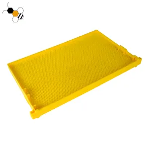 Kunststoff rahmen aus gelbem oder schwarzem Waben fundament für Bienenstock-Imkerei rahmen