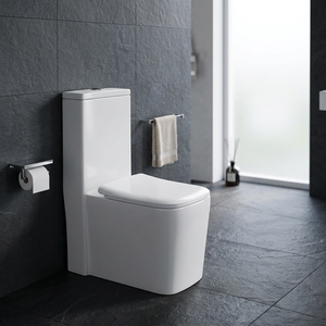 WC monobloc en céramique homologué CUPC, chasse d'eau siphonique, à poser au sol, blanc - Product Image 3