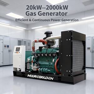 เครื่องกำเนิดไฟฟ้าก๊าซชีวภาพ ก๊าซมีเทน ก๊าซธรรมชาติ LPG ขนาดเล็ก ใช้กังหันก๊าซ สตาร์ทด้วยไฟฟ้า <span class=keywords><strong>ราคา</strong></span>โรงงาน ขาย - Product Image 4