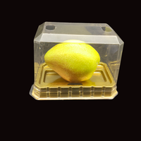 Boîte à gâteau en plastique PVC jetable en gros avec couleur personnalisée pour l'emballage à emporter de gâteaux roulés et de gâteaux au fromage