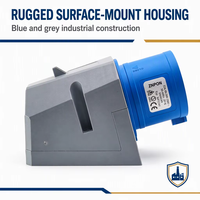 Prise industrielle CEE mâle à montage en surface 32A 6H 200-250V 3 broches 2P+E IP44 en laiton bleu MP32341