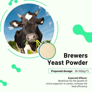 Thức ăn chăn nuôi cấp bia men powder40 % 45% - Product Image 3