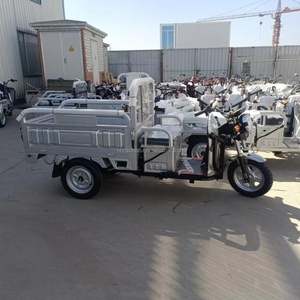 Tricycle électrique cargo populaire de haute qualité 60V 30AH 45AH 52AH 1000W à 3 roues pour adulte - Product Image 6