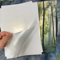 Feuille d'autocollants en vinyle transparent brillant A4 imperméable, autocollante, simple face, découpée à la forme en acrylique
