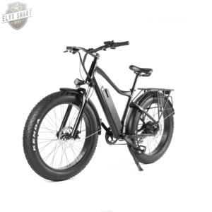 <span class=keywords><strong>ELYX</strong></span> ES019 2020 new 500W/750W 26 inch 80KM wholesale electric mountain bike electric bicycle wholesale bicycle tire - Product Image 1