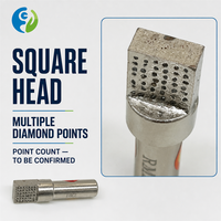 Râpeuse à diamant à tête carrée pour rectifieuse cylindrique sans centre, pour le dressage grossier, l'affûtage et l'élimination des blocages