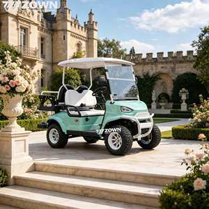 Carrito de golf eléctrico de gran venta con accesorios completos, batería de litio, para hotel, club y resort. - Product Image 1