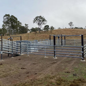 पशुधन मवेशी भेड़ कार्बन स्टील फार्म बाड़ ऑस्ट्रेलियाई मानक मवेशी यार्ड पैनल आधुनिक स्लाइडिंग गेट 10 फीट सुरक्षा - Product Image 6
