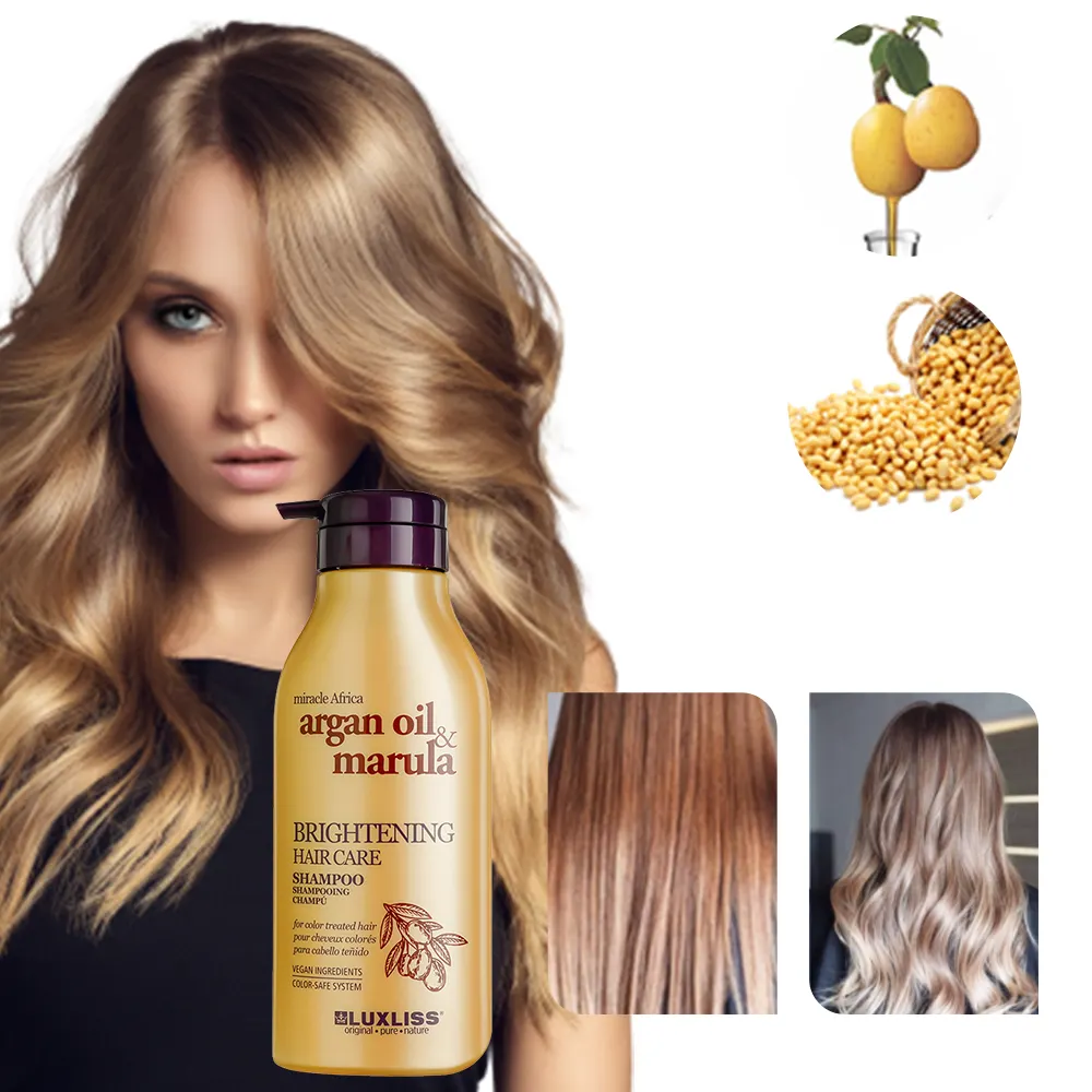 LUXLISS parlatıcı saç bakımı şampuan losyon doğal argan yağı saç bakımı 500ml 60ml