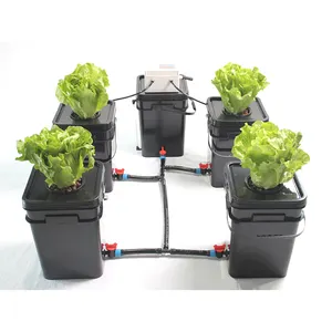 Aeroponic تنمو مربع شبيه دلو