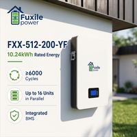 Batterie de stockage d'énergie solaire murale Fuxile LiFePO4 51,2 V avec écran LCD et BMS, prend en charge plusieurs connexions parallèles