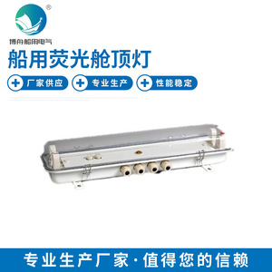 Lámpara de Techo Fluorescente JCY44-2EF para Cabina, Iluminación LED para Pasillos Marinos, Venta al por Mayor de Fábrica - Product Image 3