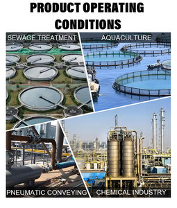 Soplador de Raíces Confiable de Larga Duración para Aireación de Estanques de Peces y Tratamiento de Aguas Residuales - Product Image 5