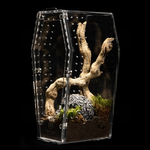 Custom Transparent Acrylic Tarantula Coffin Acrylic Reptile Enclosure Tarantula <strong>Cribs</strong> Coffin <strong>Crib</strong> - Product Image 2