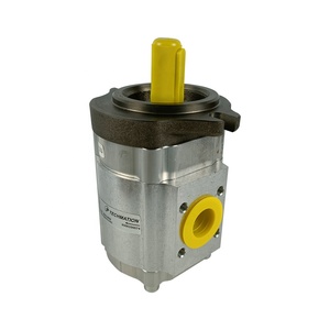 Bomba de Engranajes para Máquina de Moldeo por Inyección ECKERLE 890-EI-0250-FK2-S201 de Alemania - Product Image 1