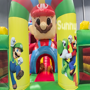 <span class=keywords><strong>Castillo</strong></span> Inflable Comercial con Tobogán, Temática de <span class=keywords><strong>Mario</strong></span> <span class=keywords><strong>Bros</strong></span>, para Fiestas y Parques de Diversiones - Product Image 5