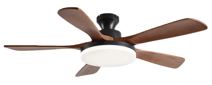 วอลนัทดำ