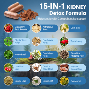 Suplemento de Apoyo Renal, Desintoxicación, Cápsulas Herbales OEM para Limpieza Renal - Vitaminas Renales 120 Cápsulas - Product Image 3