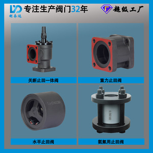 Válvula de Retención Li Yongda de Hierro Fundido para Amoníaco y Flúor, Unidireccional, con Brida, para Equipos de Refrigeración y Aire Acondicionado - Product Image 2