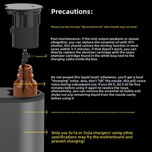 Double Nozzle Design Metal USB-Powered Waterless Aroma <b>Diffuser</b> <b>for</b> <b>Essential</b> <b>Oils</b> & Household Use - Product Image 5