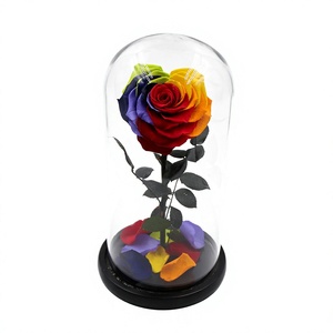 Cúpula <span class=keywords><strong>de</strong></span> <span class=keywords><strong>Cristal</strong></span> en Forma <span class=keywords><strong>de</strong></span> Corazón <span class=keywords><strong>con</strong></span> Arcoíris <span class=keywords><strong>de</strong></span> 10 cm para Graduación, Romántico y Fresco, <span class=keywords><strong>con</strong></span> Rosas Eternas para Niñas, Año Nuevo Chino, 3-5 Años - Product Image 1