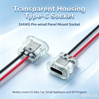 Conector USB Tipo-C Hembra LN-001 de 2 Pines, Cable Precableado, Carcasa Transparente, Montaje en Panel, Toma de Carga, Interfaz de Carga DIY