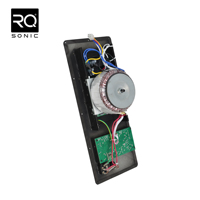 RQSONIC Factory OEM 450W 15APB Module d'amplificateur de niveau de carte Amplificateur de puissance numérique "15" Module d'amplificateur de caisson de basses