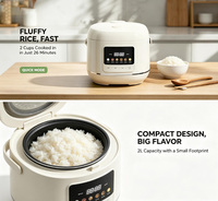 Mini cuiseur à riz 2L, petit cuiseur à riz électrique avec plusieurs programmes de cuisson, cuve intérieure antiadhésive pour 1 à 3 personnes