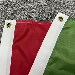 3x5 FT Hungary Flag Magyarorszag Hungarian Flag Red White Green Images Waterproof Election Flag Customization