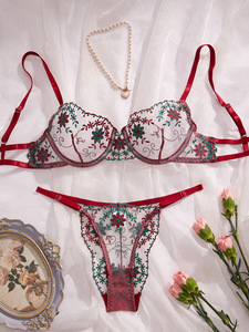 Ensemble de lingerie classique en dentelle brodée, sexy et confortable, deux pièces, vêtements pour femmes - Product Image 3