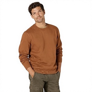 Sweat-shirt à capuche personnalisé en molleton éponge brodé et imprimé pour homme, qualité OEM supérieure, vente en gros, collection automne - Product Image 1