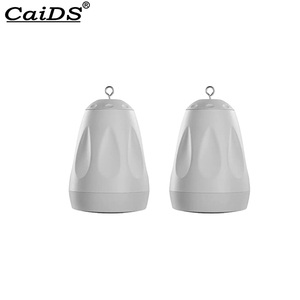 CaiDS 30W 70V/8Ω – Nouveau haut-parleur suspendu pour système de sonorisation (PA) à double usage, pour montage mural intérieur - Product Image 3