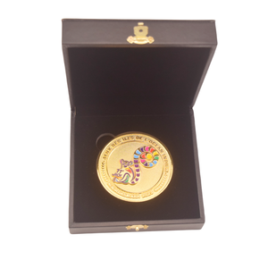 Pièce commémorative sportive en métal, pièce de monnaie 3D mate brillante en or personnalisée en cuivre avec boîte en cuir, JIOI Jeux des î<span class=keywords><strong>les</strong></span> de l'Océan <span class=keywords><strong>Indien</strong></span> ATHLETE - Product Image 5