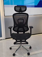 Chaise de bureau exécutive ergonomique moderne en maille avec accoudoirs réglables, pivotante et rafraîchissante pour le bureau et la maison