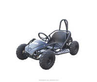 Kart électrique pour une personne avec entraînement par arbre à pédales 500/800/1000W Kart d'extérieur 48V avec CE