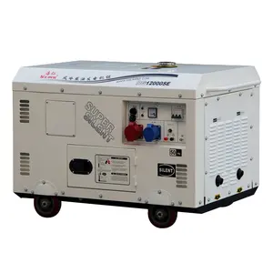 10KVA Với ATS Hai Động Cơ Xi Lanh Im Lặng Máy Phát Điện Diesel Dg12000se - Product Image 1