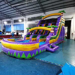 Tobogán Inflable Acuático al por Mayor, Tobogán Acuático Inflable Tropical Morado de Doble Cara con Piscina - Product Image 2