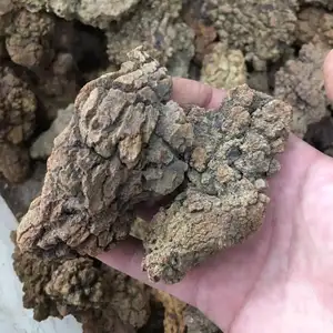 Prodotto raro Minerale Naturale Pietra Grezza Dinosauro Sgabello di Pietra Per La Raccolta