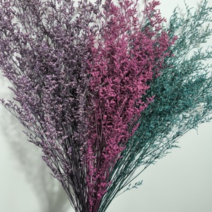 Korunmuş doğal kurutulmuş çiçekler toptan caspia puslu Limonium korunmuş Limonium çiçekler çim korunmuş çiçekler ve bitkiler - Product Image 2